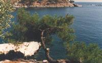 Aliki, eine malerische Bucht auf Thassos