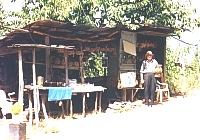 Straßenverkauf bei Artemisia (Taygetos)