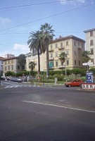 Palmen in La Spezia