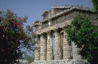 Tempel von Paestum