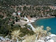 Bucht mit Olivenbäumen am Limin Trikeriu
