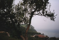 Ausblick auf den See
