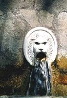 Löwenkopf des Brunnens