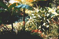 Giardino botanico Hruska