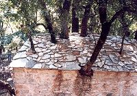 Bäume wachsen aus der Agia Theodora