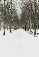Promenade im Winter