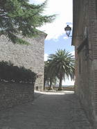 Palmen an der Stadtmauer