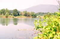 Naturschutzgebiet Sebino - Teich