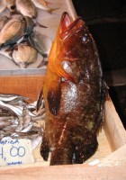 Ein dicker Fisch (Markthalle)