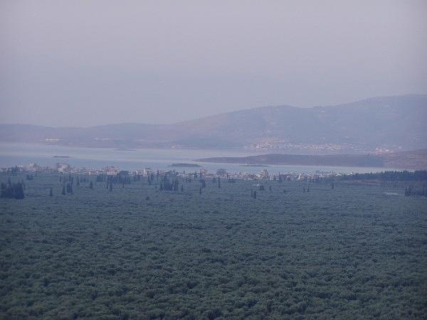 Blick über den Olivenhain bei Itea