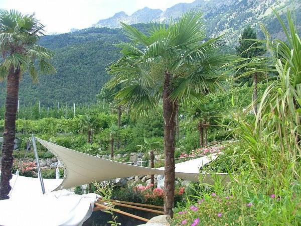 Palmengarten in Algund