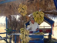 Verkauf von Vai-Bananen