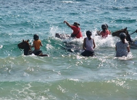 Pferderitt im Meer