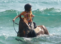 Pferderitt im Meer