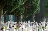 Friedhof San Michele (Cimitero)