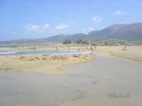 Der freie Strand von Malia im Jahre 2005