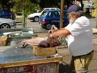 Markt von Rhodos, der Fischer sagte JA zum Foto :-) !!