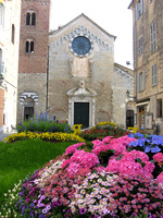 Blumenausstellung  auf der Piazza del Comune