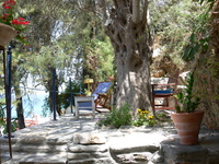 Garten im Hotel Atlantis