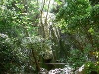Wasserfälle bei Ambelos
