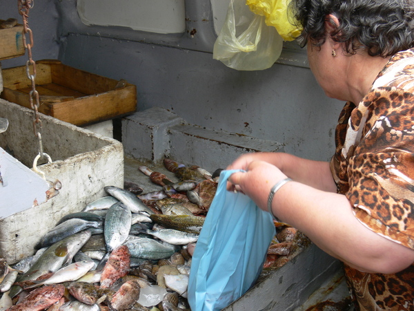Mobiler Fischverkauf in Drakei