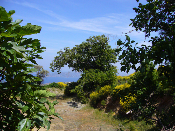 Ausblick Richtung Samos auf dem Weg nach Manolates