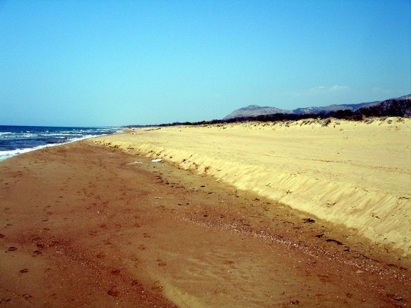Strand bei Kajafas 2008