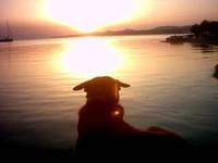 Emma geniest den Sonnenuntergang im Hafen von Nikiti