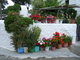 Blumengeschmücktes Haus in Malona