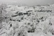 Weinberge im Schnee-Dez.2008