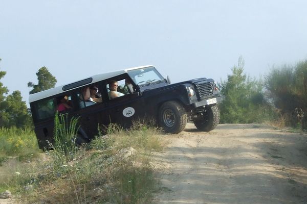 Jeep-Safari auf Kassandra-1