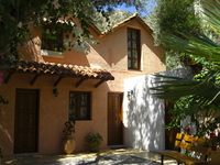Olive Tree Cottages - Paleochora