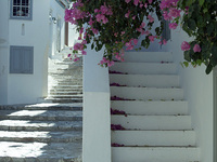 © colours-of-greece.com