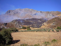 Brand zwischen Kourtaliotis -Schlucht und Mixouruma