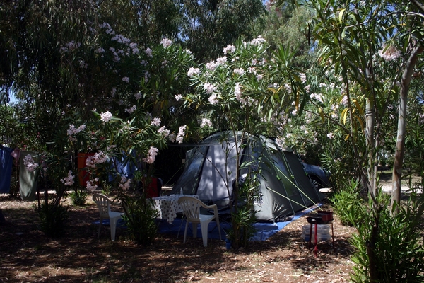 Unser Zelt im Oleanderwald auf Camping Karavomilos