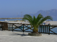 Blick von der Platia auf den Hafen
