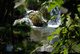 Idyllische Aulandschaft der Krka Wasserfälle