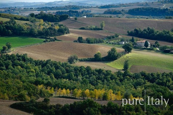 Landschaft der Provinz Arezzo