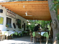 Taverne I Xenia in Loutra