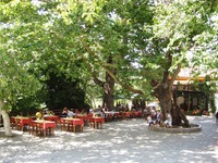 Taverne in Kazaviti