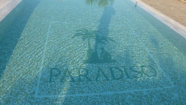 Paradiso "Pool"