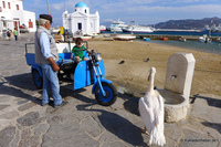 Auf der Hafenpromenade von Mykonos