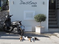 Café Destino