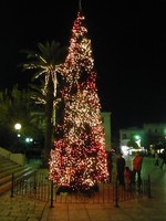 Weihnachtsbaum Platia Ermoupolis