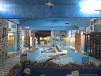 Sea World Museum Stavros Valsamidis in Vlychadia