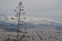 Dezember in Athen