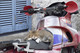 Ypsilometopo Motorrad-Katze