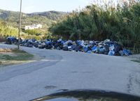 Der Müll von Korfu