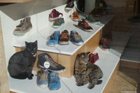 Laden für Schuhe und Katzen