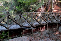Im Tal gibt es mehrere Holzbrücken. 